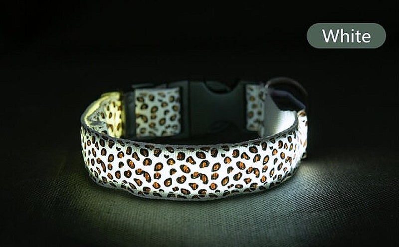 pet collar