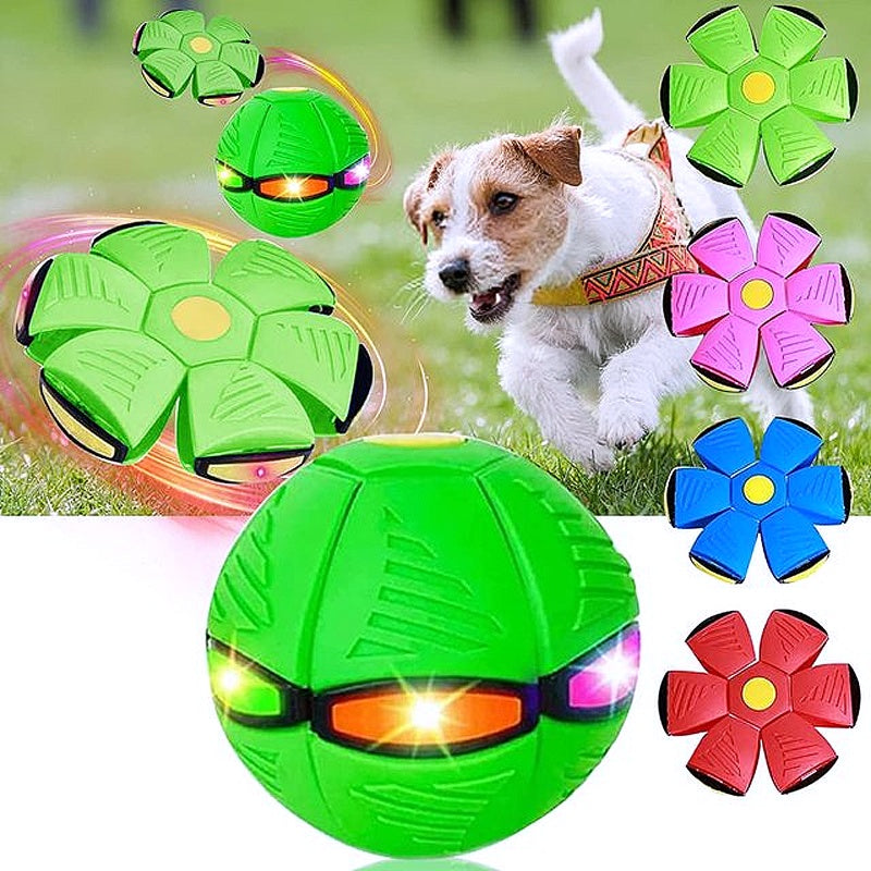 2023 new dog product