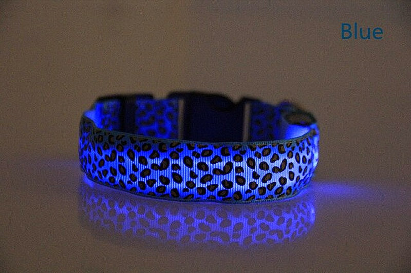 luminous collar