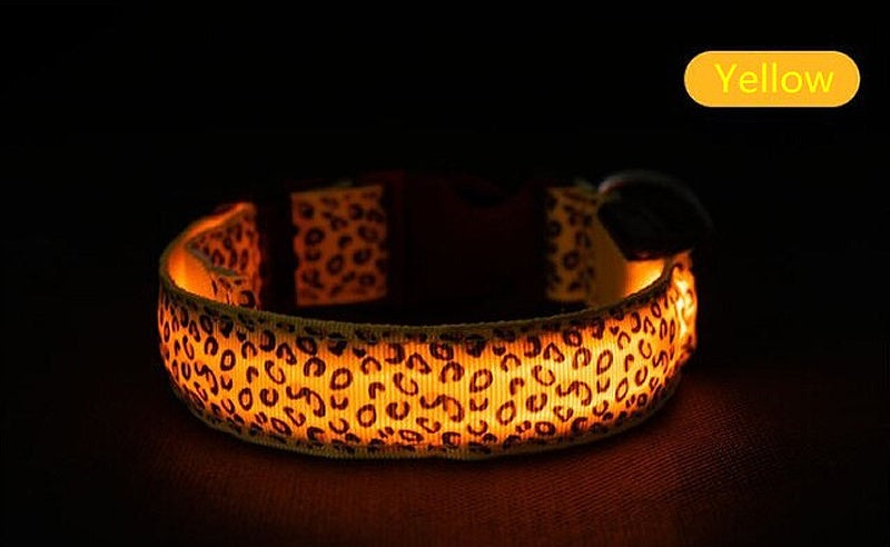 LED collar