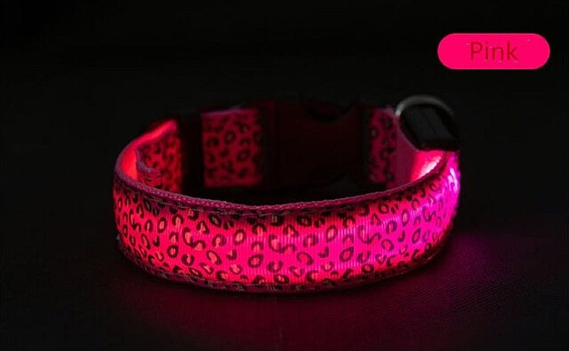 LED collar