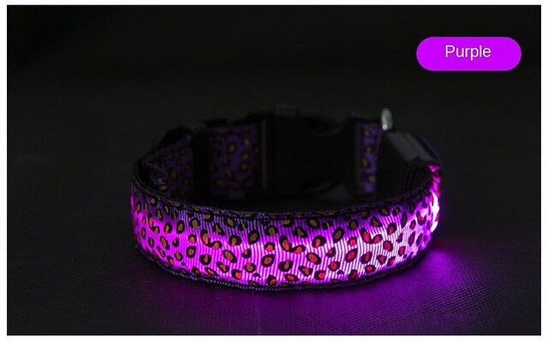 leopard print collar