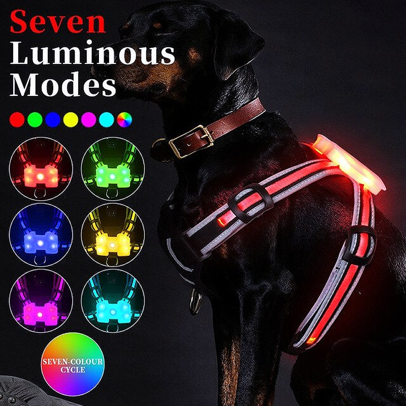 rechargeable dog accessory