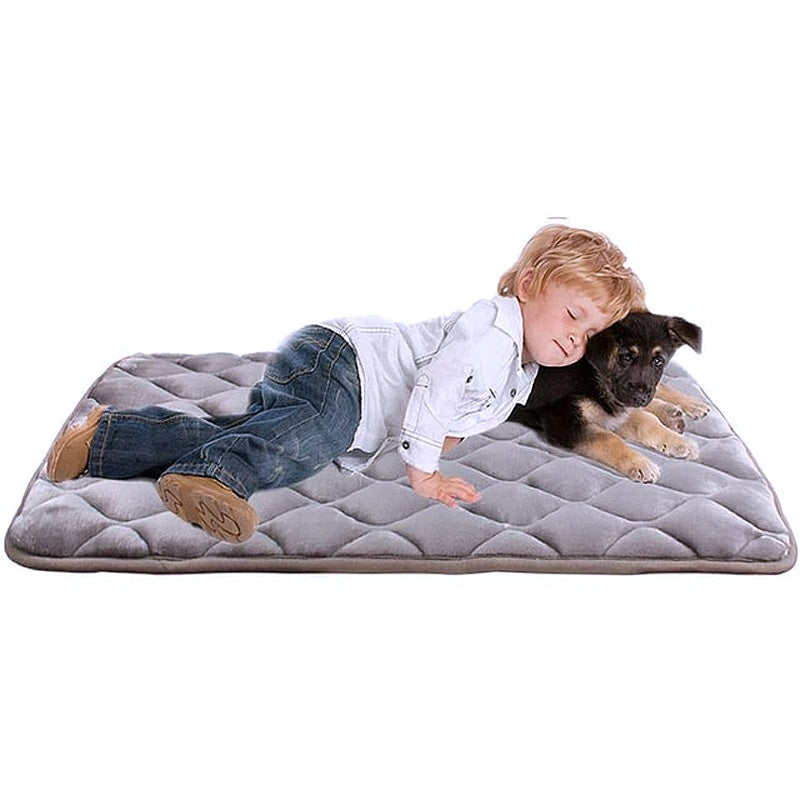 Comfy pet bedding 