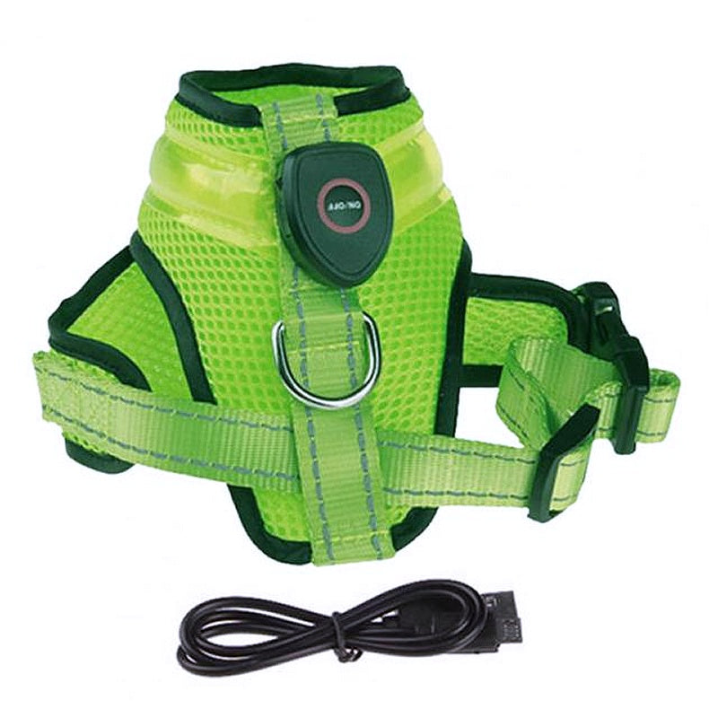 dog harness