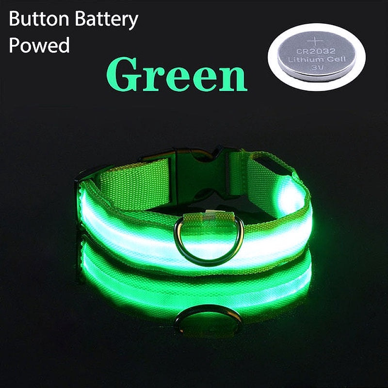 night light collar