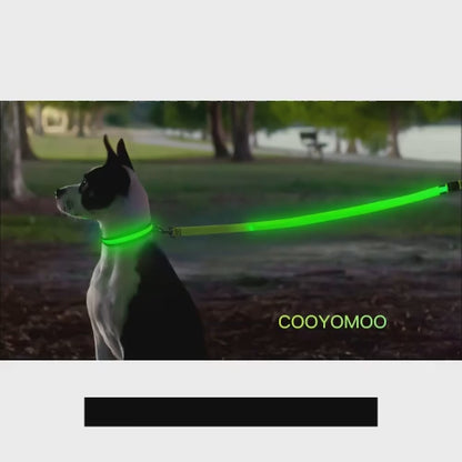 Walk your pets safely in the dark! Our glowing LED dog leash features a rechargeable battery, three vibrant lighting modes, and a sturdy construction. Whether youre out for an evening stroll or hiking under moonlight, this illuminated pet accessory keeps your beloved companion visible and protected from any possible dangers.