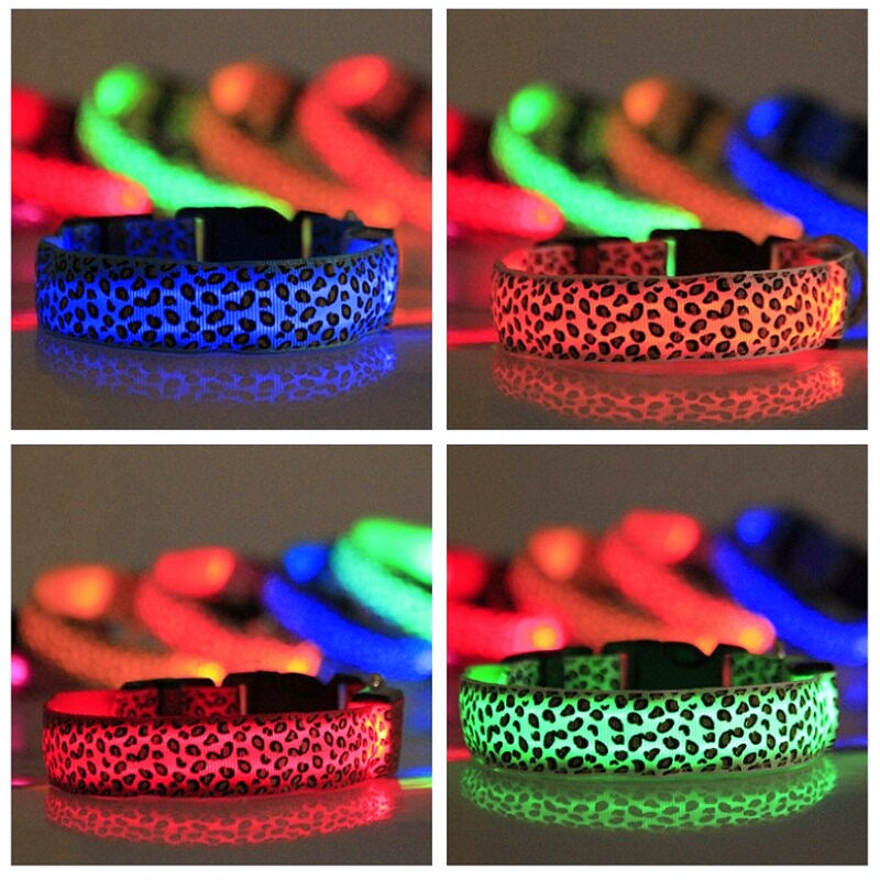 glow in the dark collar