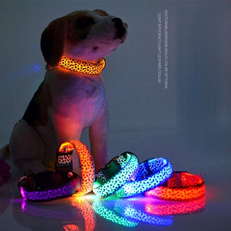 glow in the dark collar