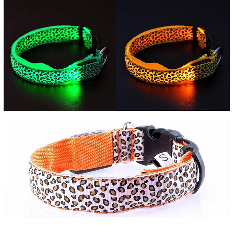 luminous collar