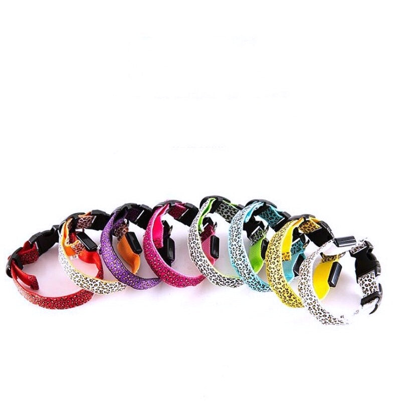 glow in the dark collar