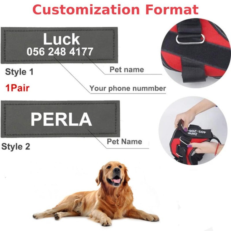 Personalized No Pull Reflective Harness