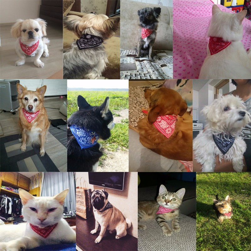 Cute halloween dog birthday bandanas scarf for boy and girl dog