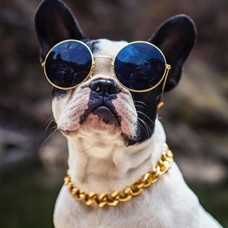 Gold silver thug life dog choke chain link necklace collar