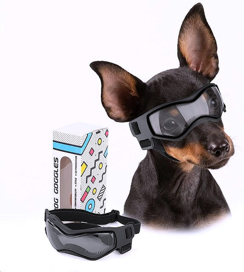 Protective eyewear for small breeds 