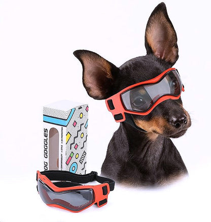 Small breed dog sunglasses