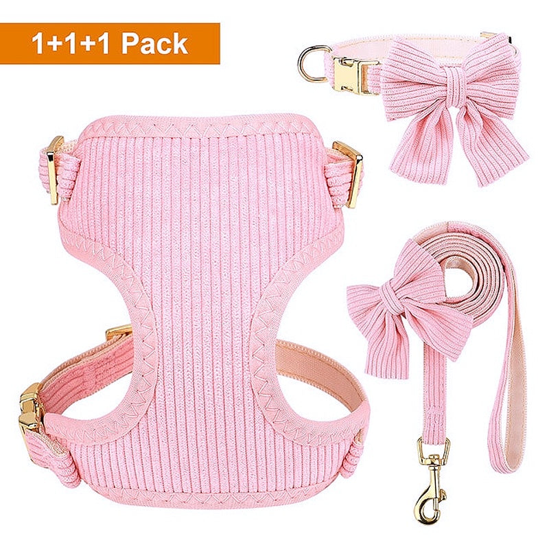 Stylish pink pet accessories 