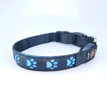 LED collar