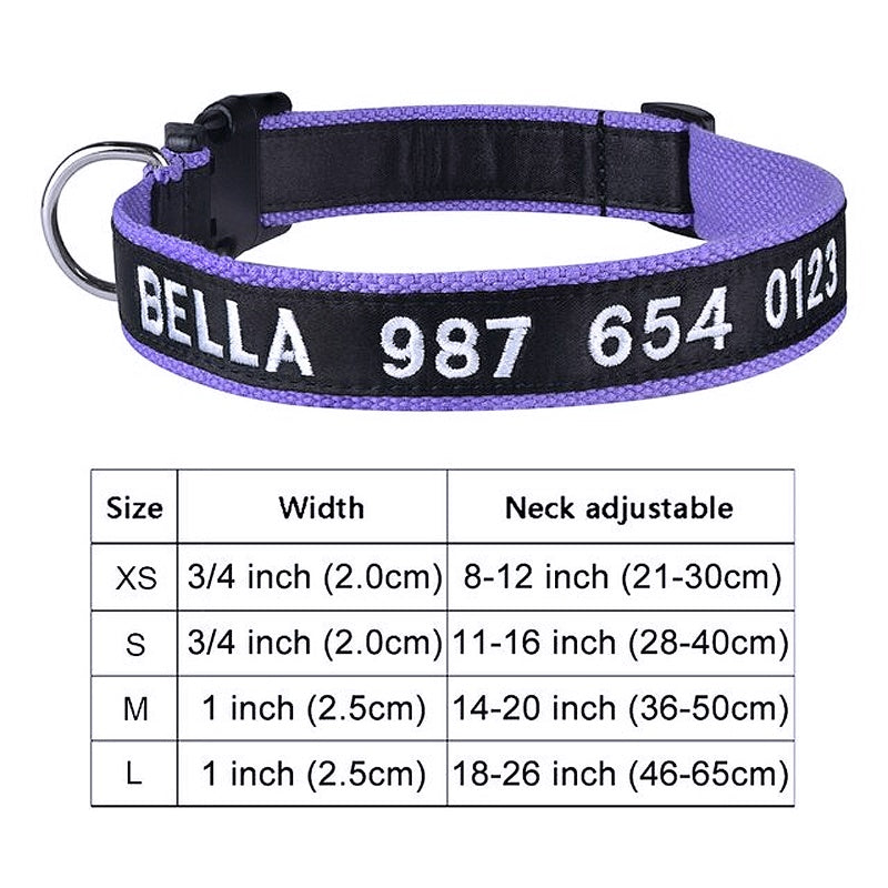 Personalized dog collar 