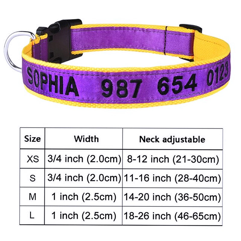 Nylon dog collar