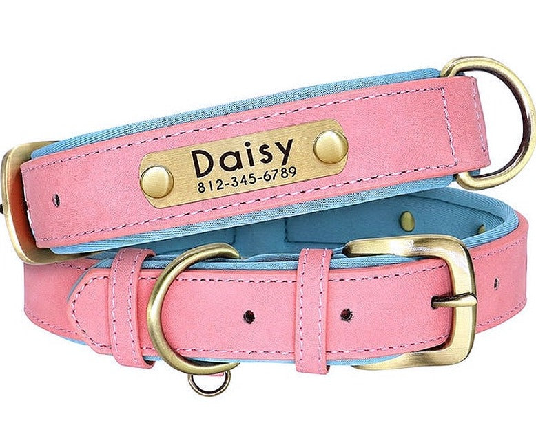 Paddeddogcollar 