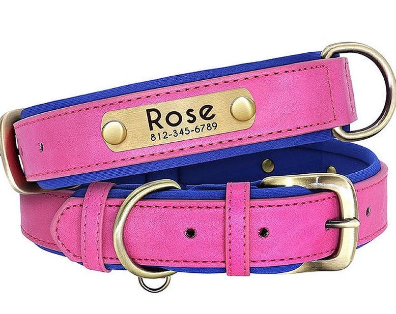 Personalizeddogcollar