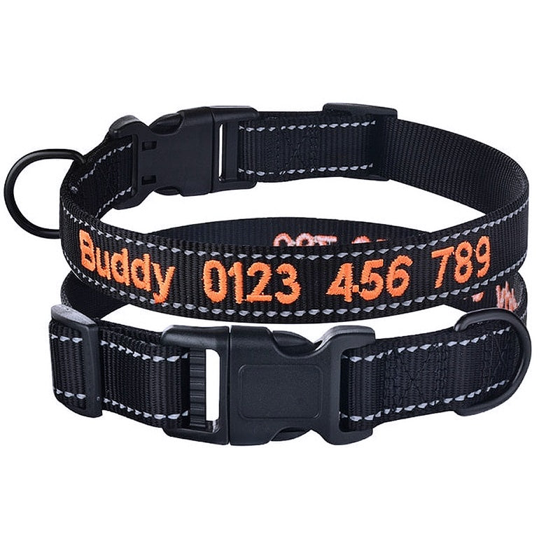 Personalized Dog Collar With Embroidered Pet Name, Adjustable