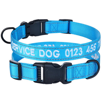Stylish personalized puppy accessory 