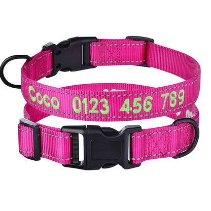 Puppy's name on a collar 