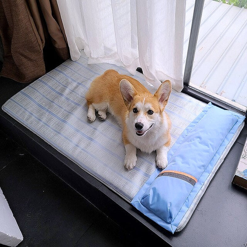 Thick and durable dog mattress