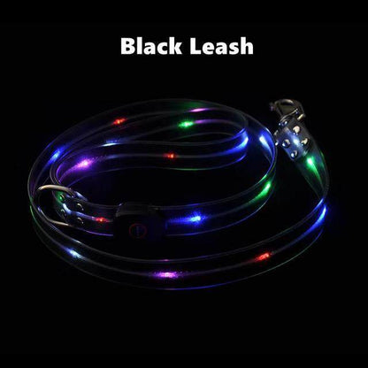 LED Light Up Dog Leash - Safety and Style Combined