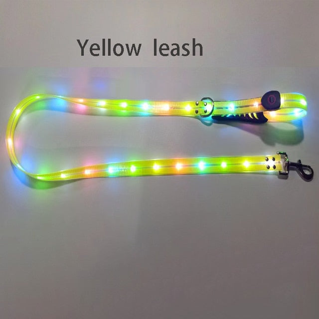 LED Light Up Dog Leash - Safety and Style Combined