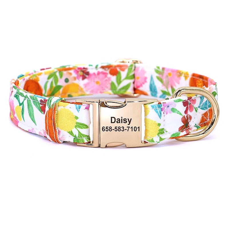 Nylon dog collar