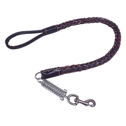 Braided training leash for dogs 