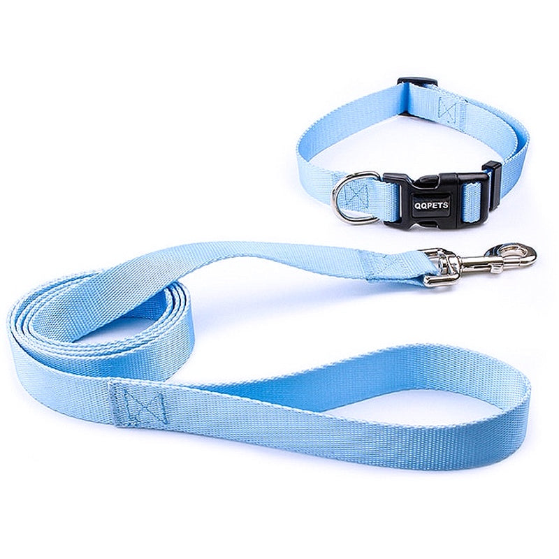 Traction leash for dogs 