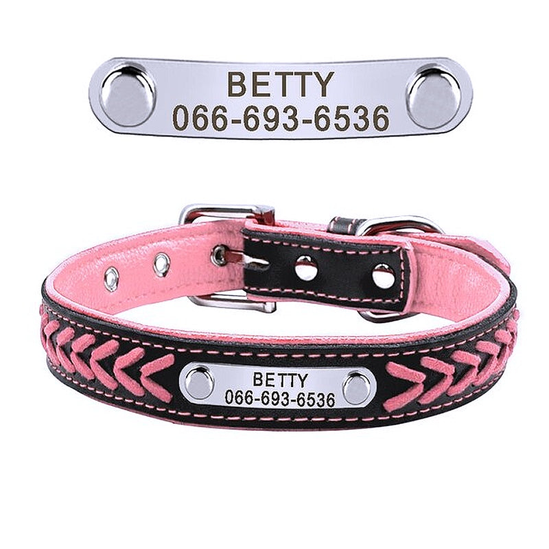 Braided name plated dog collars 