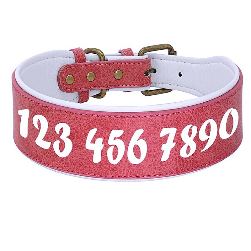 Name engraving on dog collar 