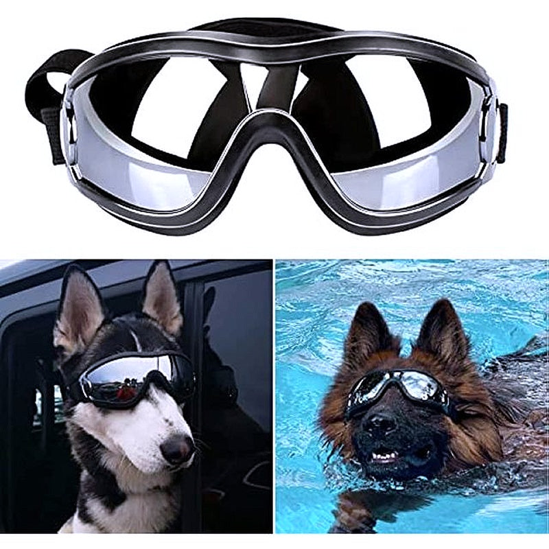 Dog glasses 