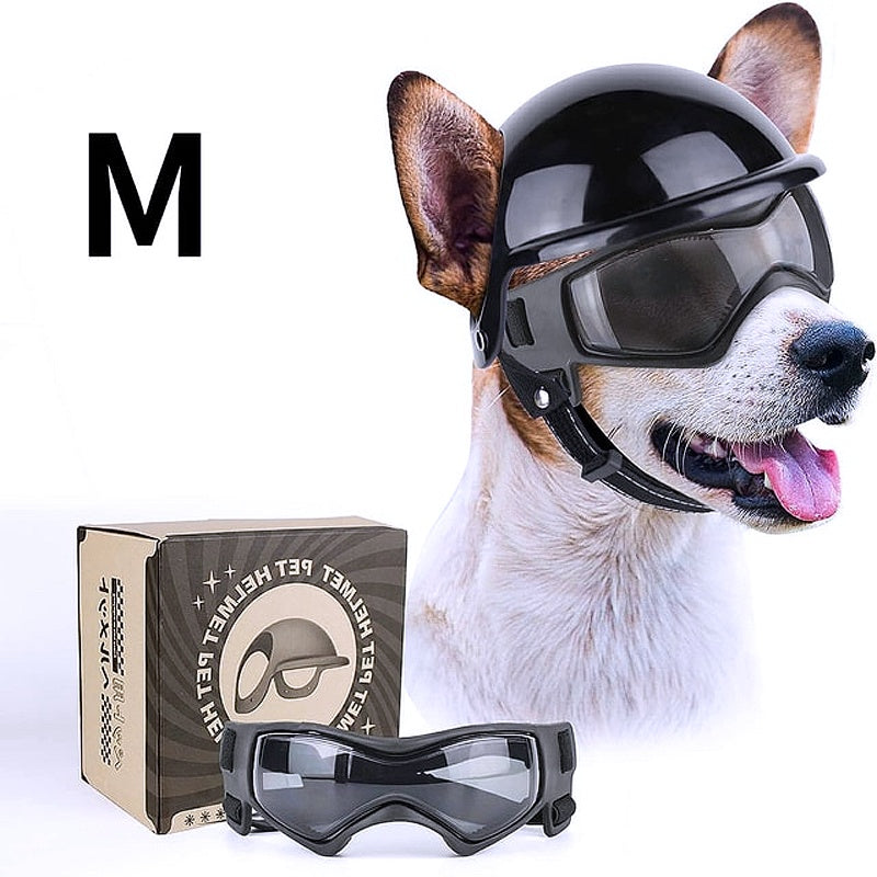 Dog safety gear 