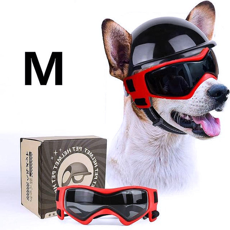 Dog sunglasses