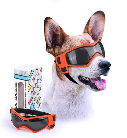 Helmet and goggles for dogs 
