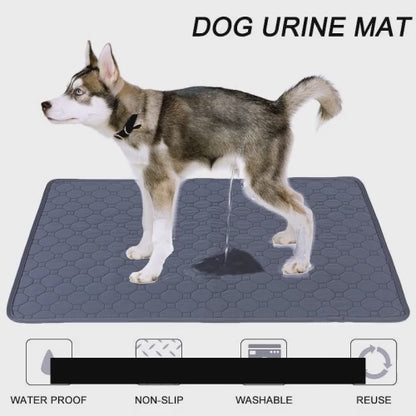 Introducing the Pet Pee Pad: your furry friends best-kept secret! This ingenious invention combines functionality with sustainability, making it a must-have for any pet parent. With its ultra-absorbent design, bye-bye to messy spills and odors that lurk around the house.

Featuring a non-slip bottom, worry not about accidents turning into catastrophes – this pad stays put no matter how playful your little buddy gets. Say goodbye to allergies and hello to comfort; our hypoallergenic pads ensure ultimate cozi