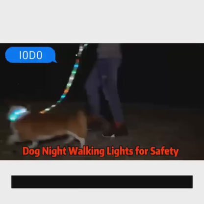 Illuminate your bonding time with your furry companion using our LED light up dog leash. Designed for all seasons, this adjustable pet collar provides ultimate walking safety with its glow-in-the-dark feature. Conveniently rechargeable via USB, it offers a reliable solution to keep your four-legged friend visible during low-light conditions.