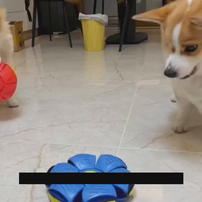 Introducing our Innovative Flying Saucer Ball: The Ultimate Interactive Dog Toy! Made with eco-friendly ABS material, this durable toy guarantees long-lasting performance. Its strong elasticity enables the ball to jump high, providing endless interactive play for your furry friend. With a simple press, it transforms into a flying saucer and features vibrant kinetic lighting for exciting nighttime play sessions. Available in red, blue, purple, and green - choose the color that best suits your dogs preference