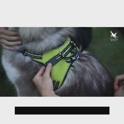 Stand out while keeping your pet safe! Our Rechargeable LED Harness is the perfect accessory for nighttime adventures. Made of durable nylon, it features a built-in flashing LED light that ensures visibility in low-light conditions. Say goodbye to worries and hello to peace of mind!
