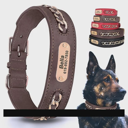 Personalized Leather ID Collar for Dogs