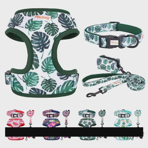 Introducing our Nylon Dog Collar Harness Leash Set with Waste Bag, the perfect solution for pet owners who value comfort and durability. Made from mesh nylon material, this set ensures maximum comfort and long-lasting use. The adjustable design guarantees a perfect fit for small to medium dogs, ensuring their safety during walks or outdoor adventures. This set also includes a leash and garbage bag set for added convenience on-the-go. With various color options available - green, blue, red, and rose - you ca