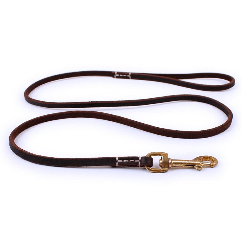 Comfortable dog leash