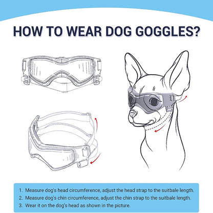 Protective eyewear for small breeds 