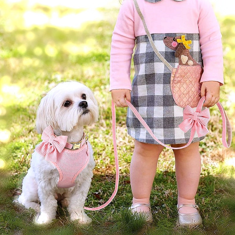 Cute dog collar with bowtie